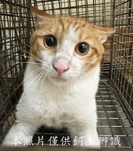 11505210001收28