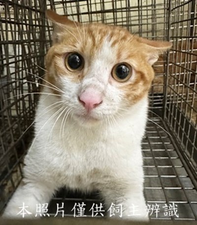 11505210001收28