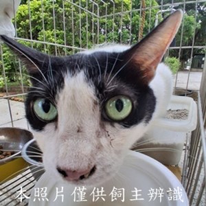 11505210009收拾