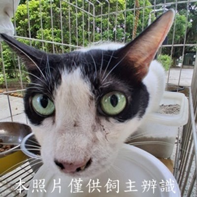 11505210009收拾