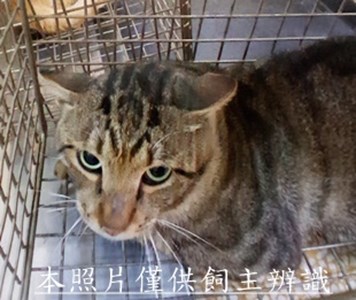 11505210011收57