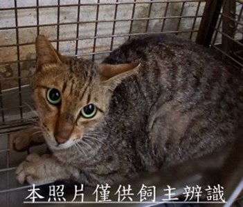 11505210012收32