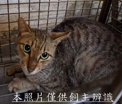 11505210012收32