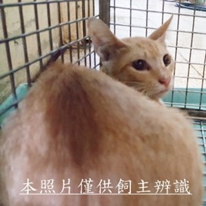11505220001收-73