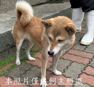 11505220008收F37-4