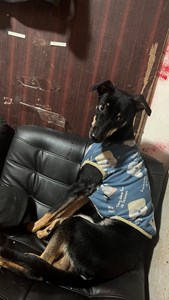 IMG_1290.jpeg