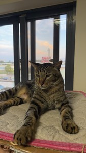 IMG_7004.jpeg (3)