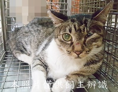 11505250005收-79