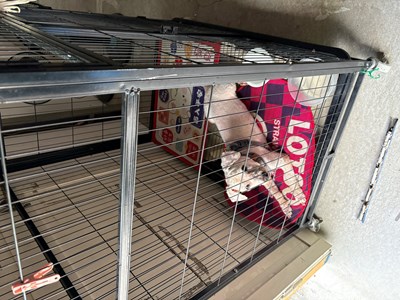 IMG_0976.jpeg (1)