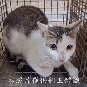 11505260005收-49