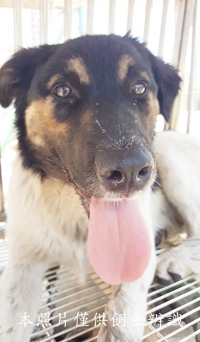 11505280006收-元7
