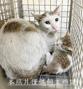 11505280010-11收65