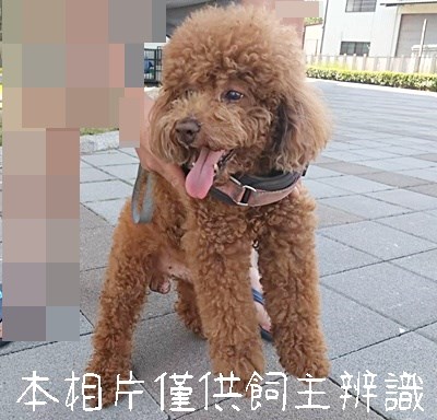 11505286004_3F12