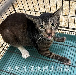 11505280012收32