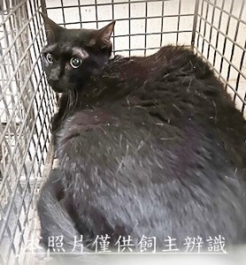 11505310002收34