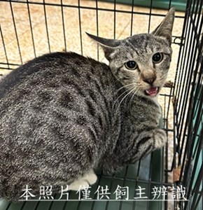 11505310003收