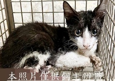 11506010001收73 - 複製
