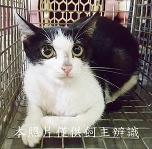 11506020002收-74