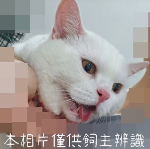 11506026001_