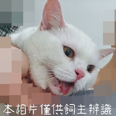 11506026001_