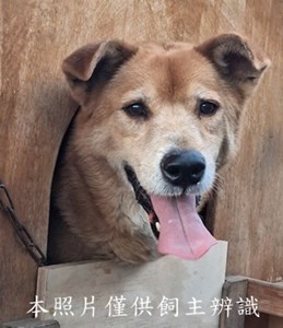 11506020011收棄