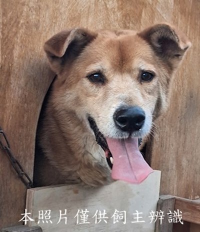 11506020011收棄