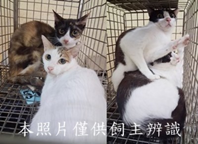 11506030001-4收-horz
