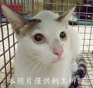 11506030013收-69