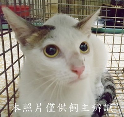 11506030013收-69