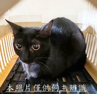 11506040003收23