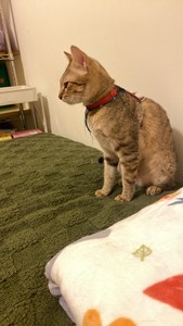 IMG_2832.jpeg