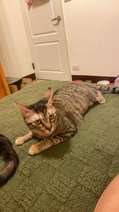 IMG_2909.jpeg