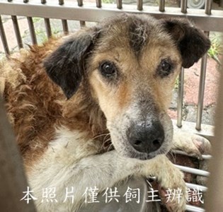 11506080001收H