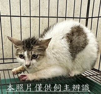 11506080009收7