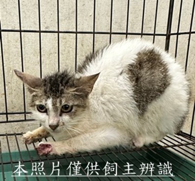 11506080009收7