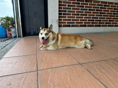 IMG_8325.jpeg