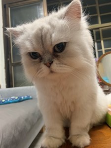 IMG_0140.jpeg
