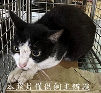 11506110001收14