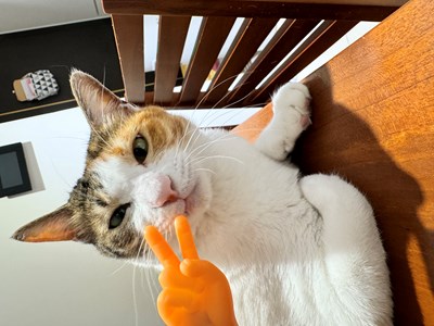 IMG_1467.jpeg