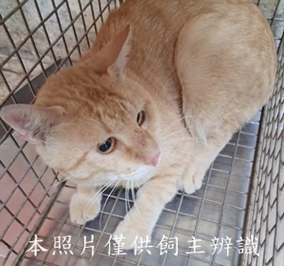 11506110006收72