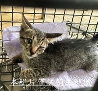 11506120006收20