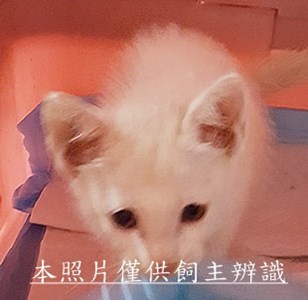 11506120009收-2