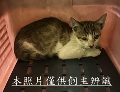 11506130010收34
