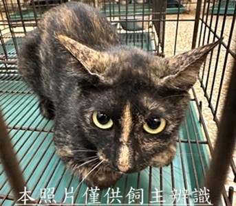 11506160005收66