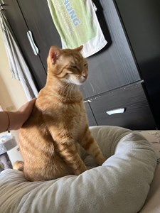 IMG_8434.jpeg