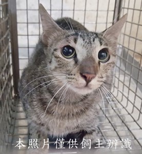 11506170012收-39