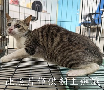 11506206001陳1