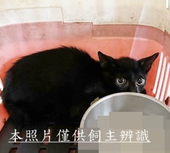 11506190005收44