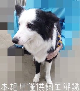 11506226001_4F30動保