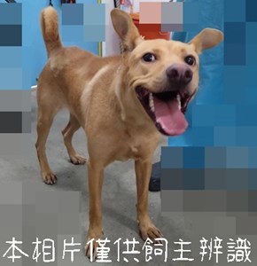 11506226002_4F21動保